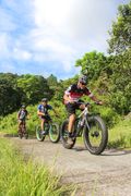Perfil Bike Shop Pro