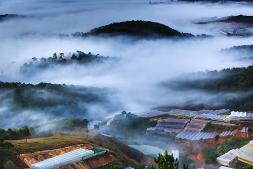 Paisaje De Montaña Brumosa