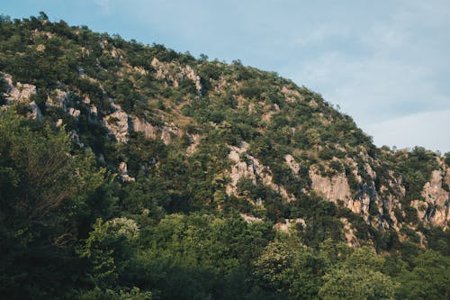 Δωρεάν στοκ φωτογραφιών με βράχια, δασικός, δέντρα