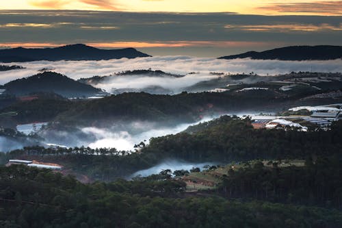 Aerial View Photography of Green Forest