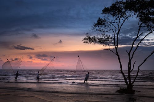 Bezpłatne Trzech Rybaków łowiących Podczas Zachodu Słońca Zdjęcie z galerii