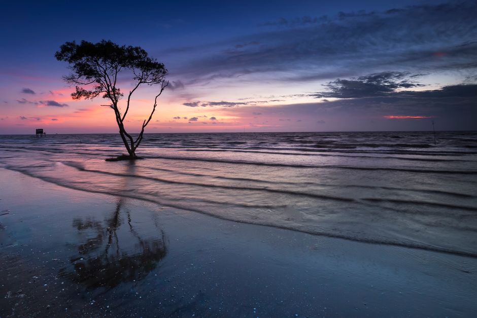 Stunning twilight beach scene with a lone tree reflecting on calm waters under vibrant skies.