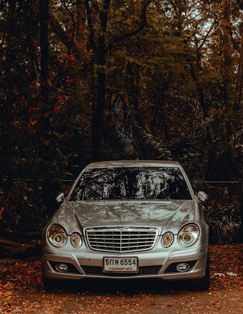 Gratis stockfoto met geparkeerd, herfst, mercedes-benz