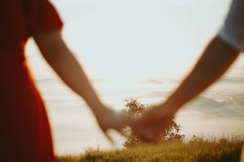 A couple holding hands in the sunset