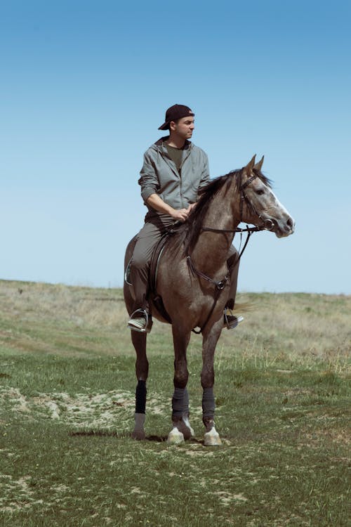 Darmowe zdjęcie z galerii z jazda konna, koń, młody człowiek
