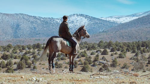 Horseback Safari