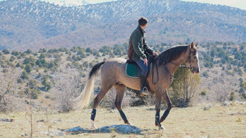 Δωρεάν στοκ φωτογραφιών με άλογο, άνδρας, βουνά