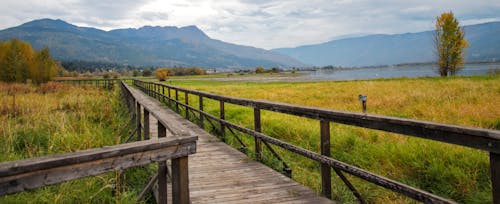 бесплатная Коричневый деревянный мост рядом с полем зеленой травы Стоковое фото