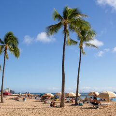 Toronto → Hawaii dưới $450 khứ hồi (đã gồm thuế)