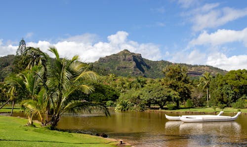 夏威夷, 山, 岩石形成 的 免费素材图片