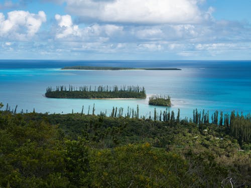 A view of the ocean and islands from a hill