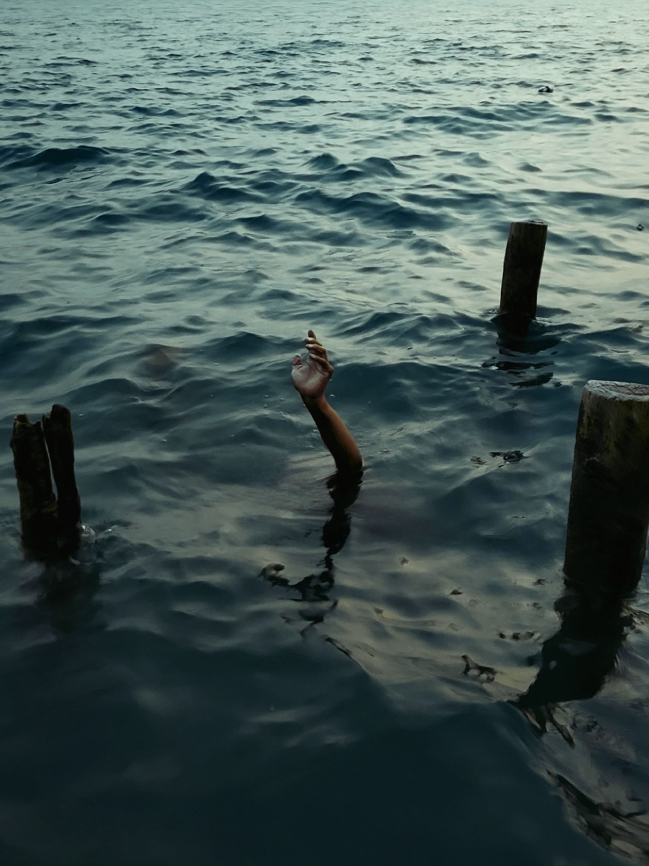 Hand Sticking Out of Water · Free Stock Photo