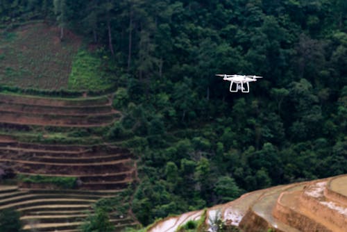 Drone Bianco Che Vola Sopra Gli Alberi