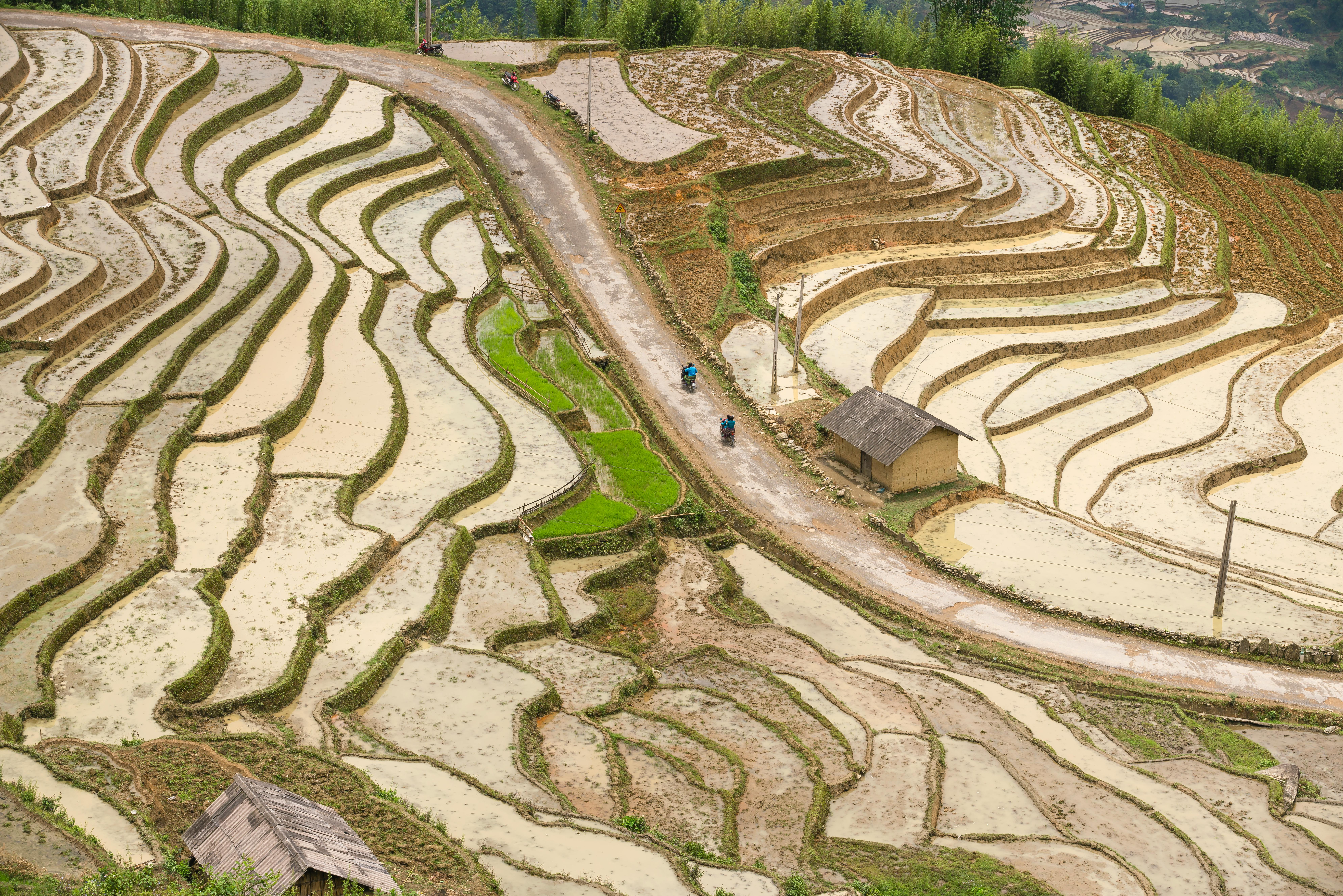 Hyderabad background