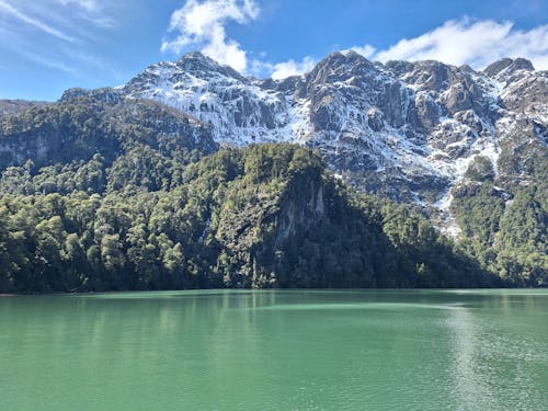 Free Snowcapped Mountains and Forest over Lake Stock Photo