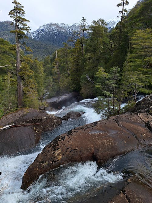 Kostenloses Stock Foto zu bäume, berge, erodiert