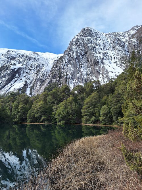 Free Lake in Forest in Mountains Stock Photo