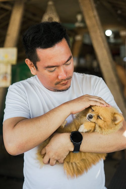 Free A man holding a small dog in his arms Stock Photo