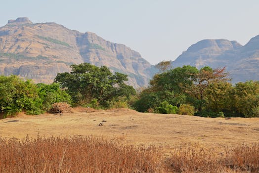 Beautiful landscape of hills and lush trees in Nashik, India, showcasing natural beauty and tranquility.