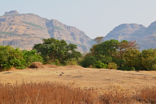 Nashik Vineyard Tour