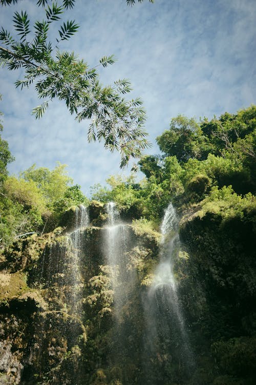 Imagine de stoc gratuită din arbori, călătorie, cascadă