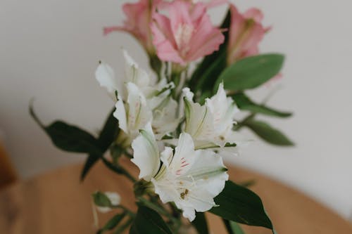 A vase of pink and white flowers on a table