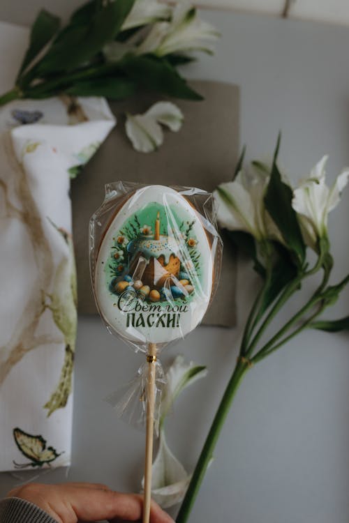 Free A person holding a lollipop with a picture of a bird on it Stock Photo