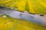 附近可以乘船游览充满活力的稻田景观