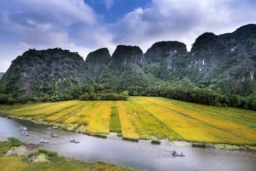 Field and Rock Formations