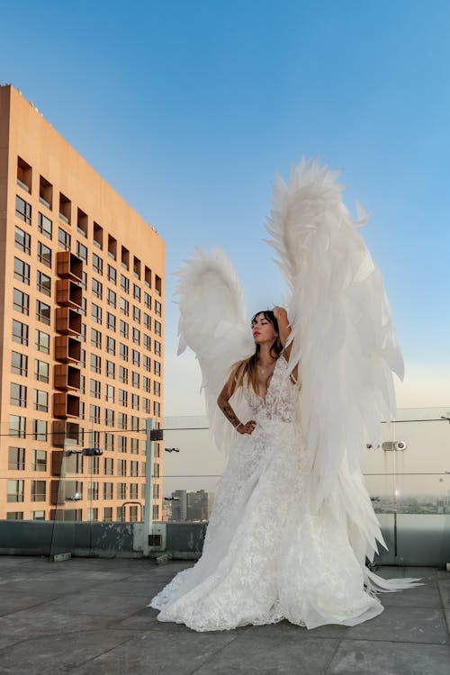 Ingyenes stockfotó álló kép, angyal, angyal szárnyak témában