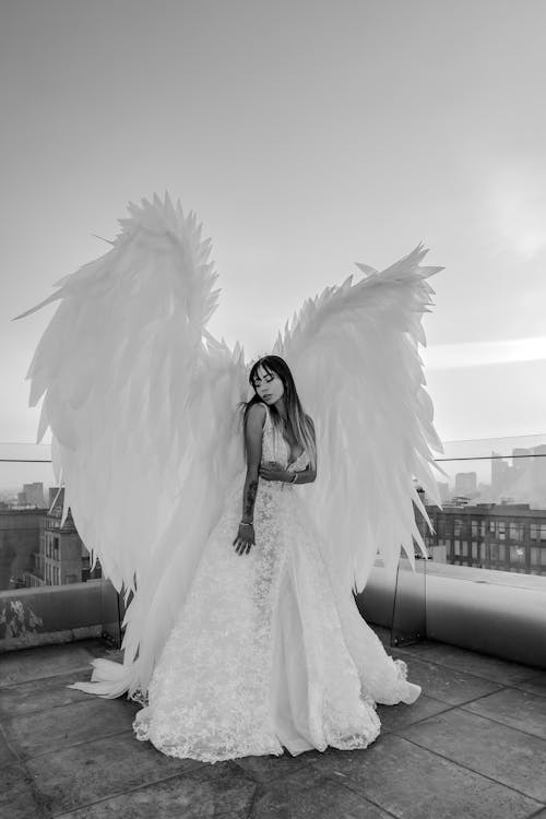 Fotobanka s bezplatnými fotkami na tému anjel, anjelské krídla, biele bielizeň