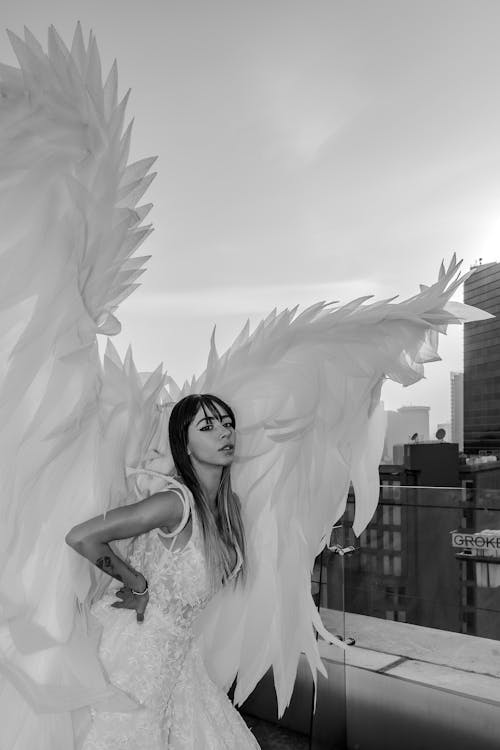 Fotobanka s bezplatnými fotkami na tému anjel, anjelské krídla, biele bielizeň