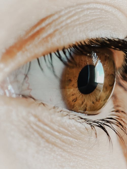 A close up of a woman's eye with brown eyes