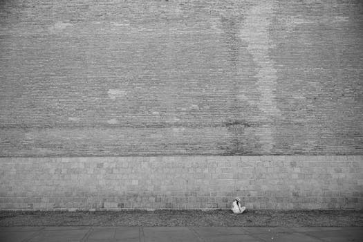 A solitary child sits against a large, textured urban brick wall in a quiet city setting.