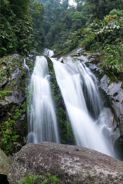 Waterfalls Near Trees