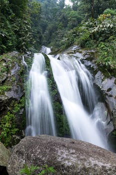 宁静的丛林景观中，美丽的瀑布被郁郁葱葱的绿色植物包围