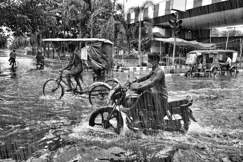 Foto d'estoc gratuïta de aigua, blanc i negre, carrer