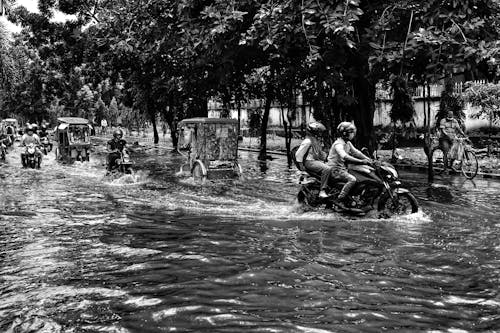 Fotobanka s bezplatnými fotkami na tému čierny a biely, India, jazdenie