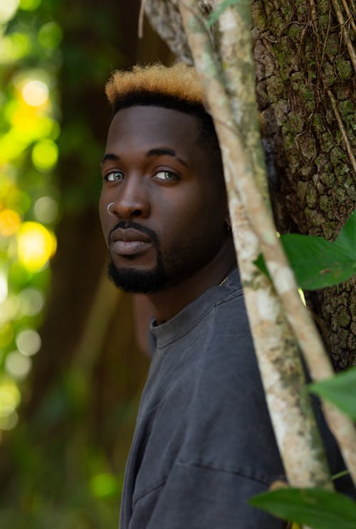 Kostenloses Stock Foto zu afrikanischer mann, bäume, borke