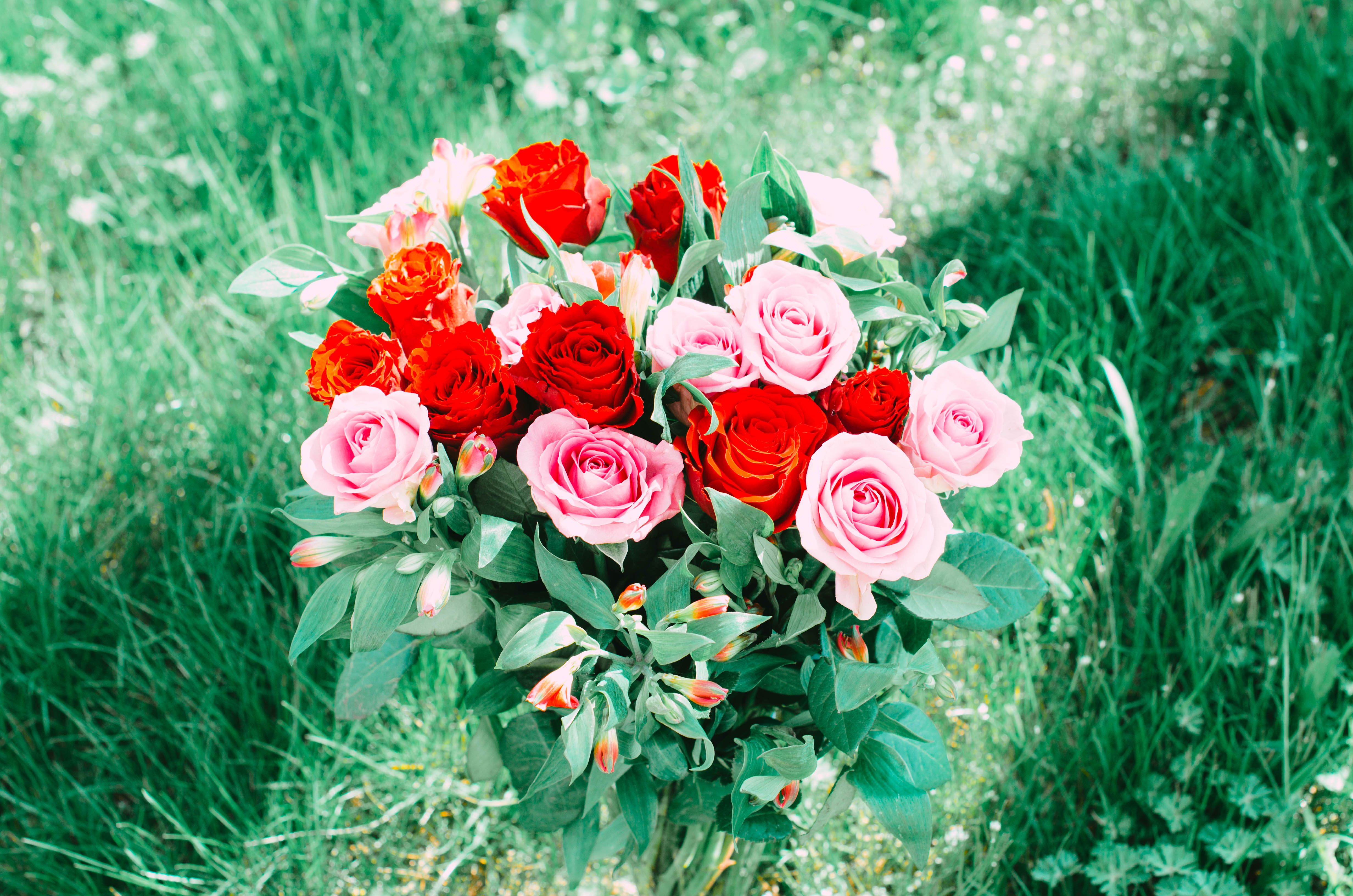 Seasonal blooms by month