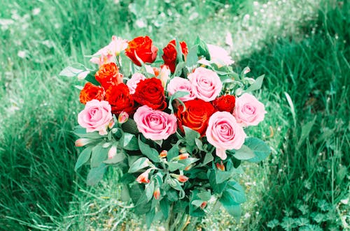 Fotobanka s bezplatnými fotkami na tému červená, kvety, kytica