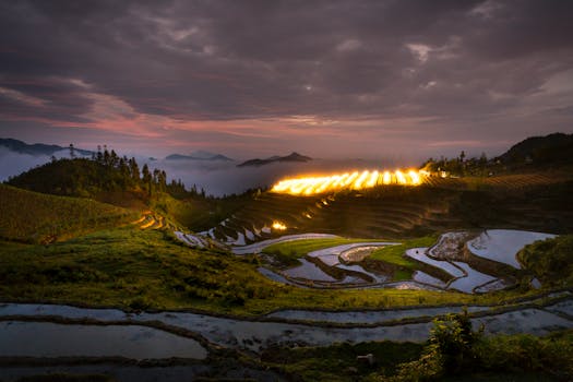 黄昏时分，天空绚丽，稻田景色壮美