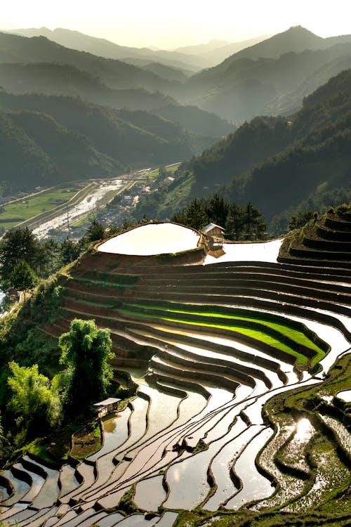 Terrazas De Arroz