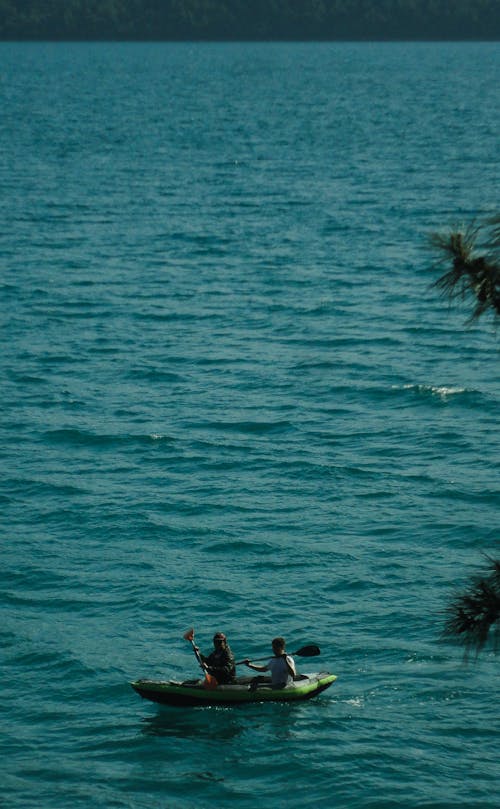 Základová fotografie zdarma na téma akce, jezero, kajak