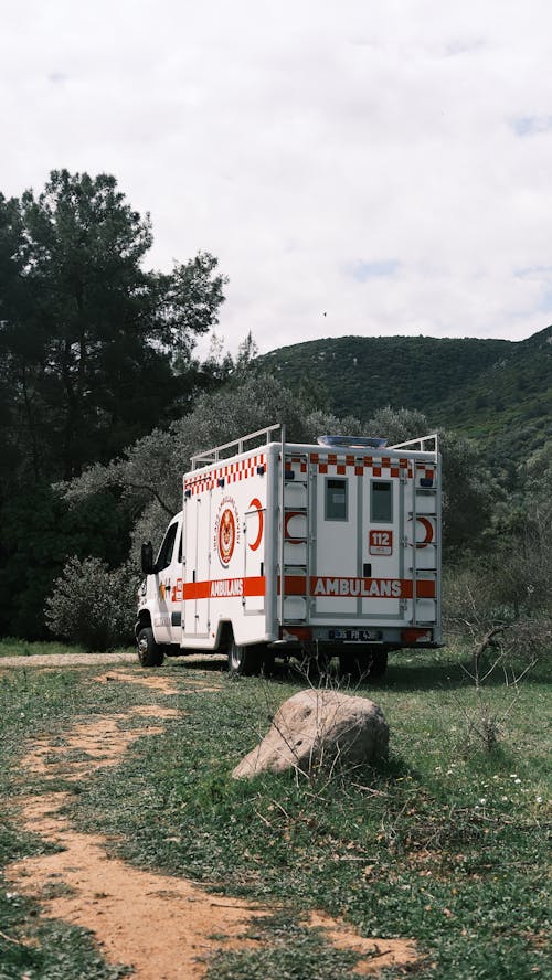 Fotos de stock gratuitas de ambulancia, arboles, camino