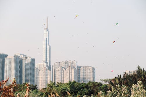 A city skyline in the background