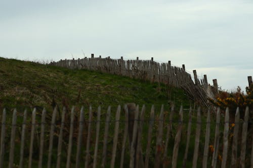 Free stock photo of fence