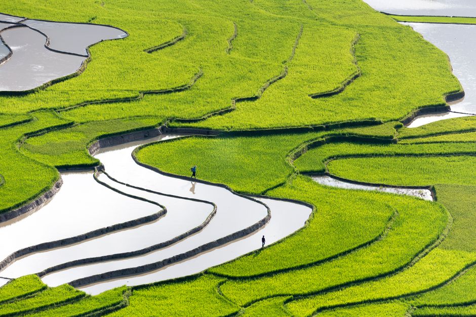 Where to Stay: Rice Paddy Views and Tranquil Retreats Where to Stay: Rice Paddy Views and Tranquil Retreats
