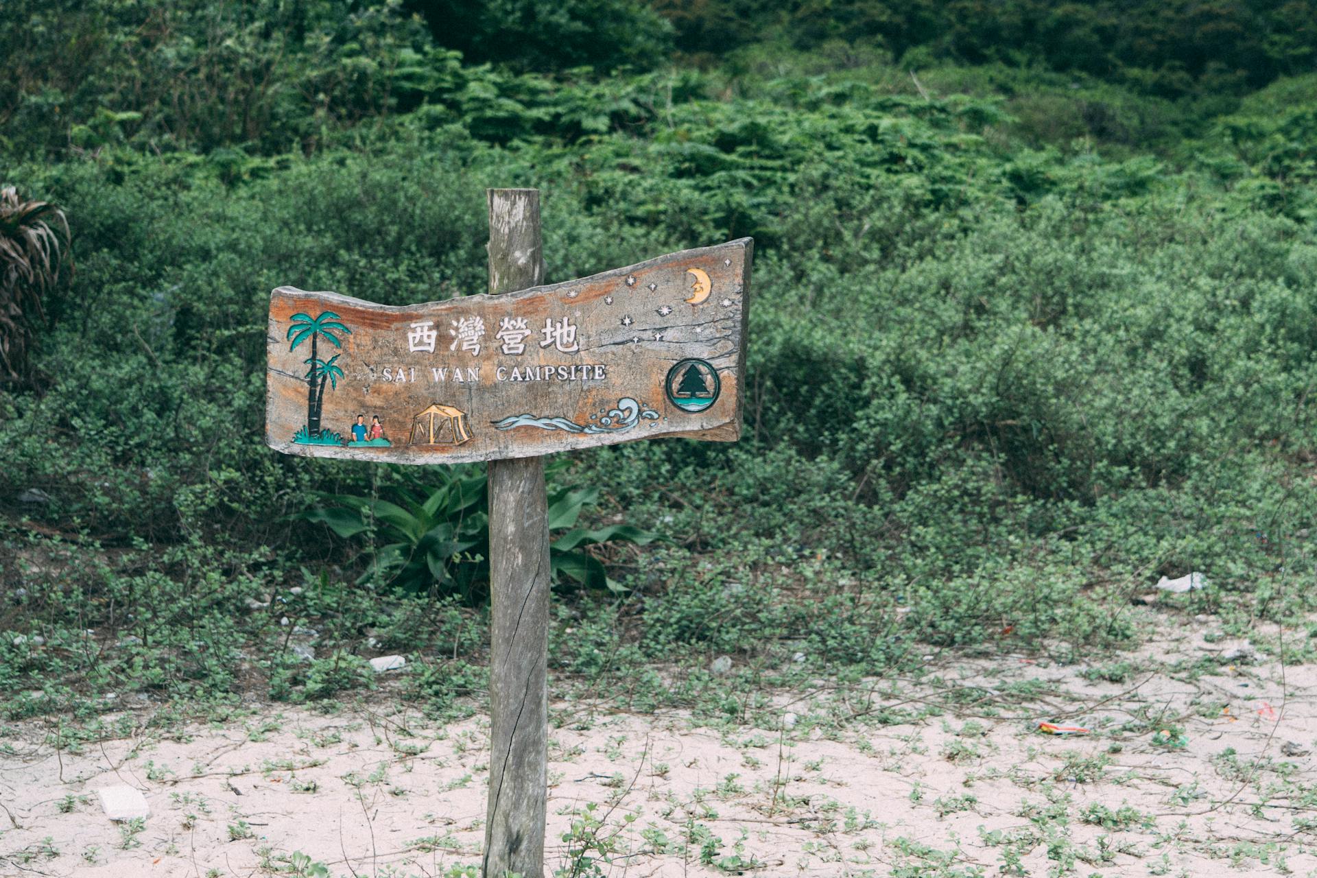 Explore the natural beauty of Sai Wan Campsite with this wooden sign amidst lush greenery.