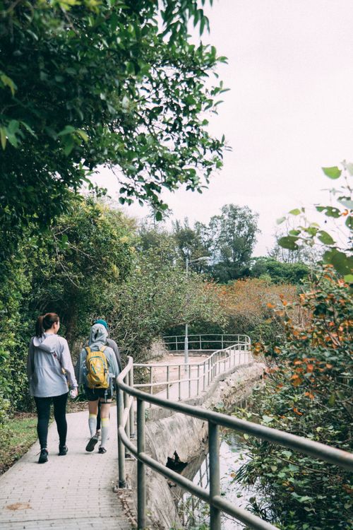 Free Two people hiking on a lush green trail beside a river, surrounded by trees. Stock Photo